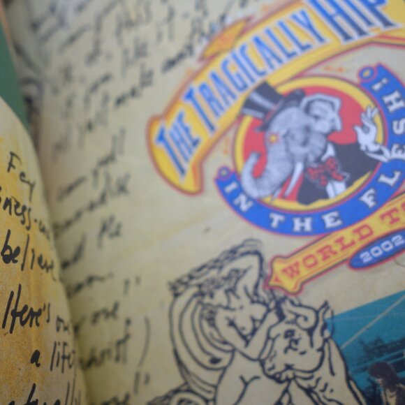 Vintage Hipeponymous Box Set Compilation by The Tragically Hip (2 CDs & 2 DVDs) - Picture 16 of 16